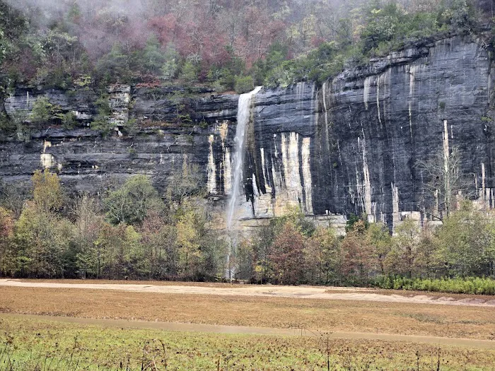 Steel Creek Campground Picture 3