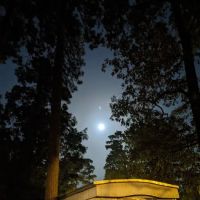 Holly Point Trailer Park ico