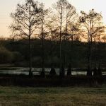Zwolle Rv Park