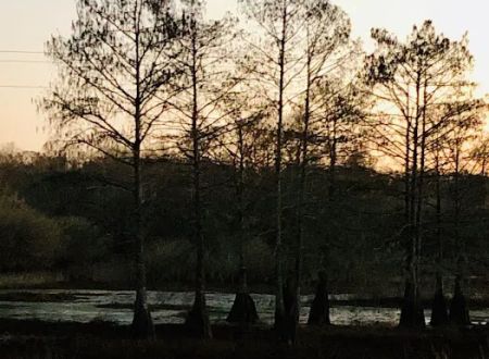 Zwolle Rv Park