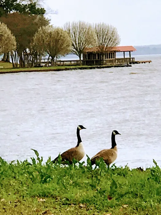 Best Park RV Park and Marina Picture 6