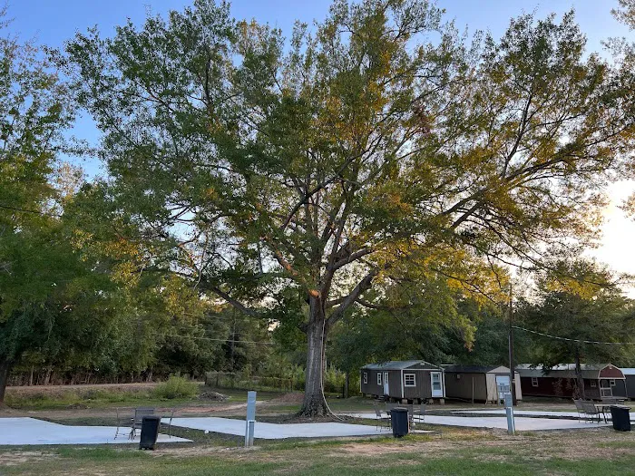 Driftwood RV Park and Cabins by the lake Picture 4