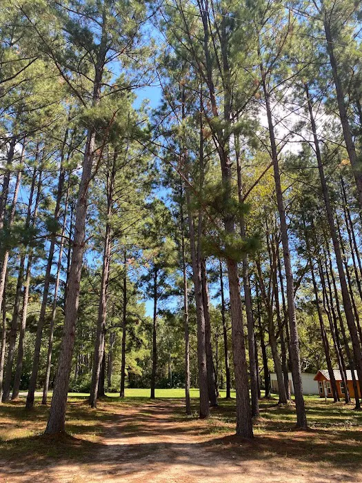 Nestled Pines RV Park Picture 8