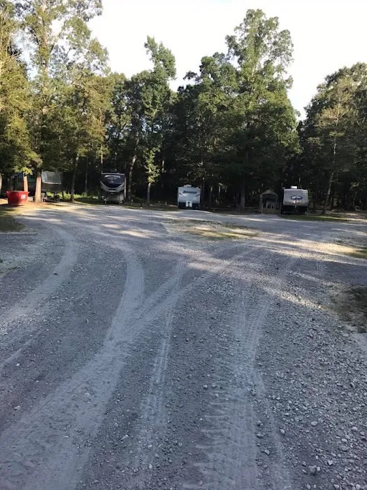 Bullfrogs & Butterflies RV Park Picture 3