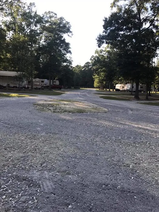 Bullfrogs & Butterflies RV Park Picture 5