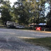 Bullfrogs & Butterflies RV Park ico