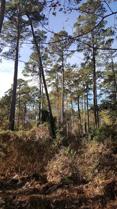 Bullfrogs & Butterflies RV Park Picture 2
