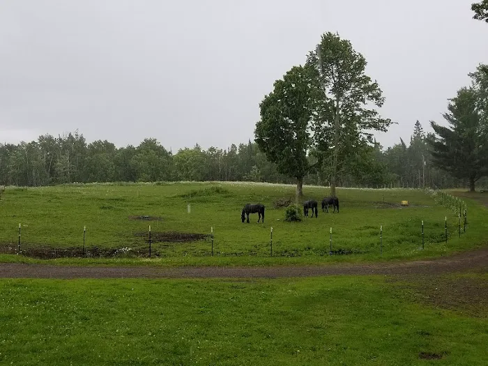 Paradise Hills Campground, MN Picture 9