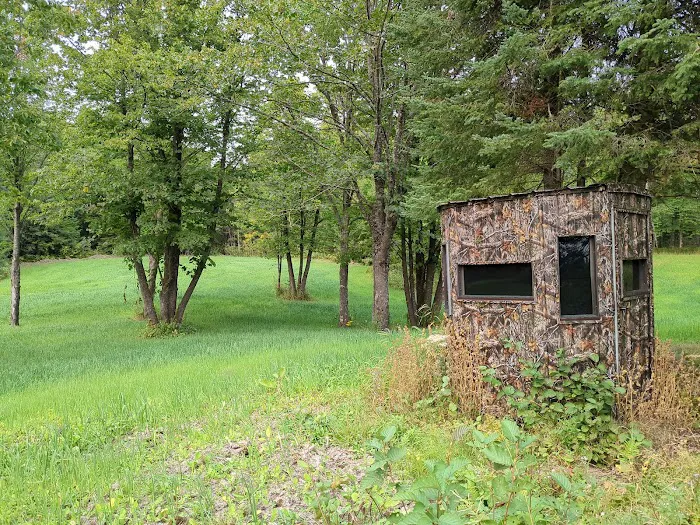 Paradise Hills Campground, MN Picture 8