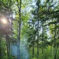 West Gooseberry Camp ico