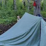 East Gooseberry Campsite