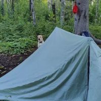 East Gooseberry Campsite ico