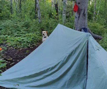 East Gooseberry Campsite