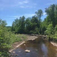 Middle Gooseberry Camp ico