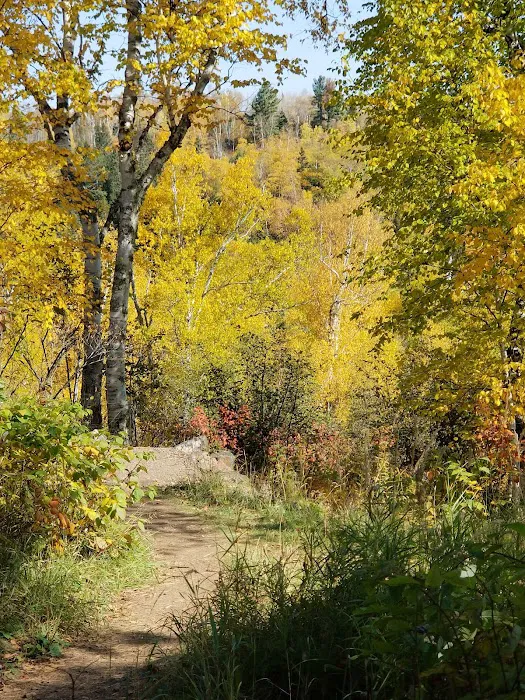 Gooseberry Falls State Park, Group Camp Site Picture 7