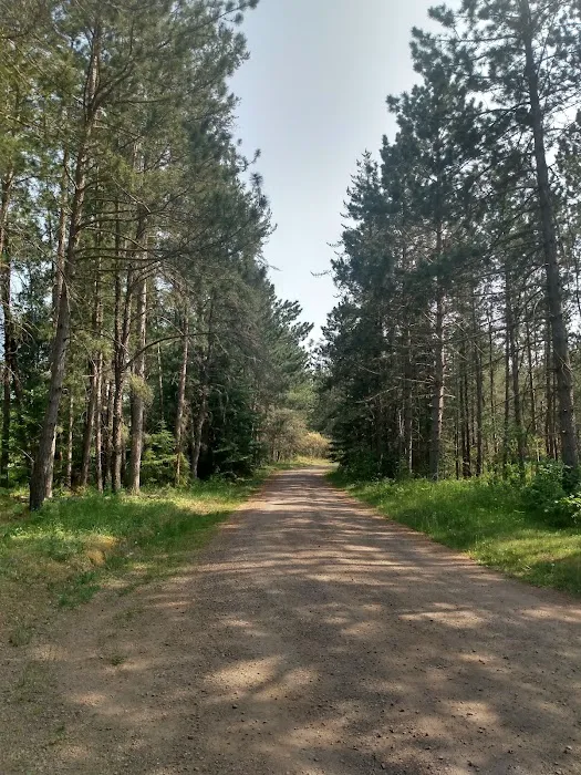 Indian Lake Campground Picture 8