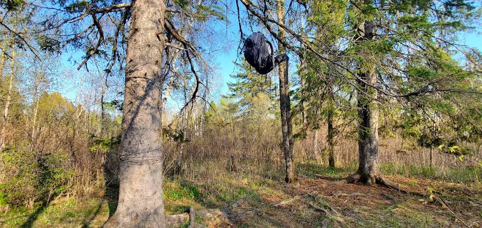 Blueberry Hill Campsite Picture 4
