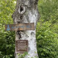 Blueberry Hill Campsite ico