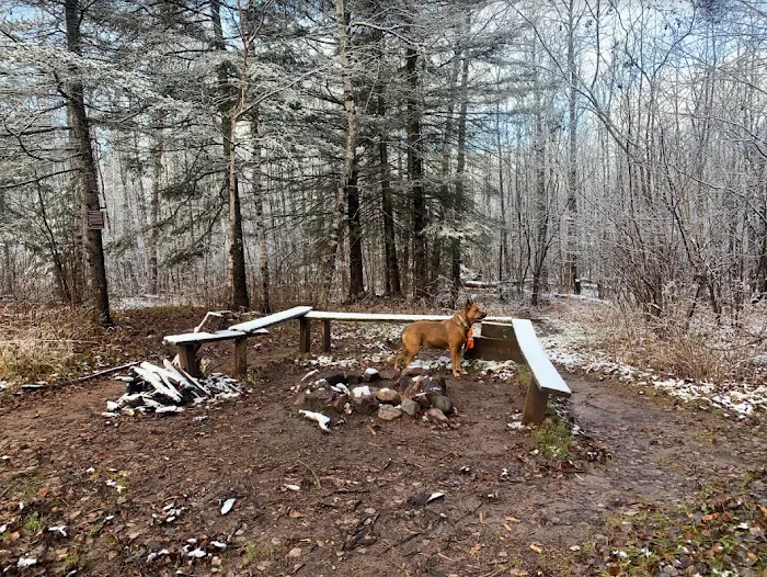 Northeast Split Rock Campsite Picture 1