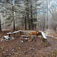 Northeast Split Rock Campsite ico