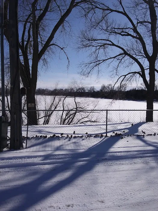 Fishin' Mobile Home Park Picture 7