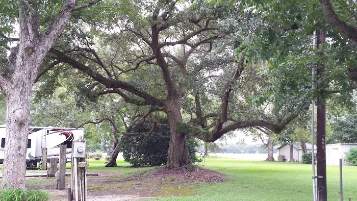 Audubon Acres RV Park Picture 6