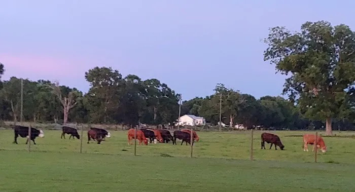 Audubon Acres RV Park Picture 4