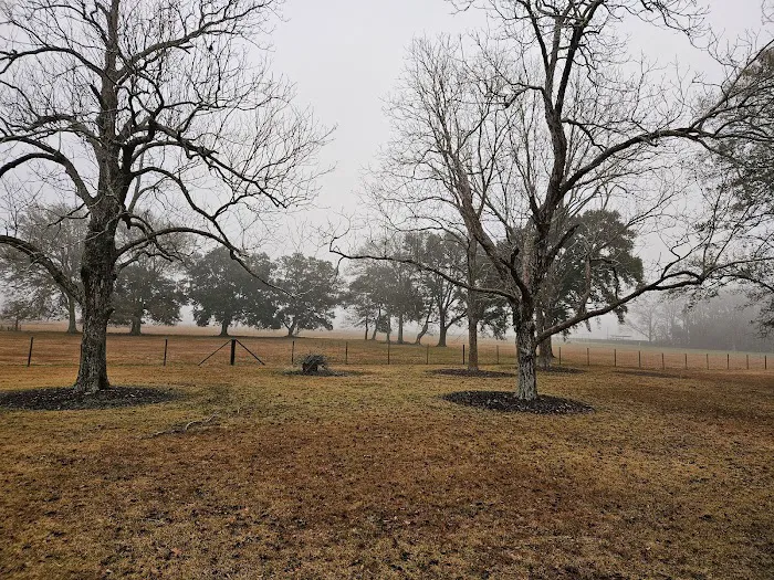 Audubon Acres RV Park Picture 10