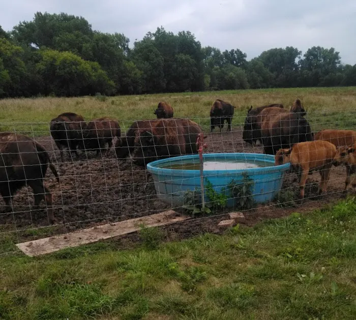 Big ELK PARK Picture 3