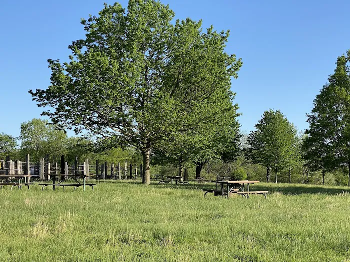 Waubonsie St Park Equestrian Campground Picture 5