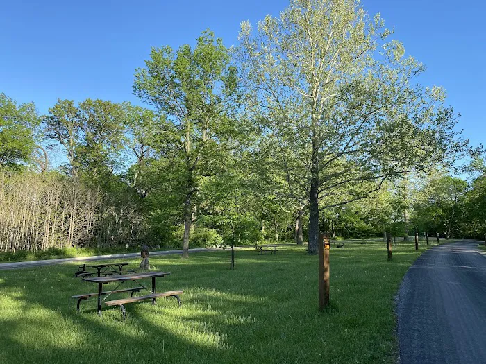 Waubonsie St Park Campground Picture 4