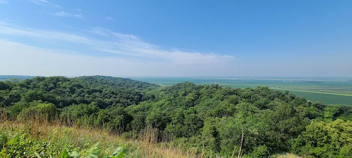 Waubonsie St Park Campground Picture 1