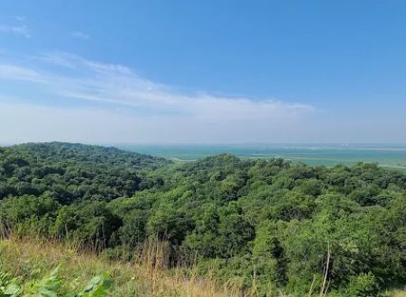 Waubonsie St Park Campground