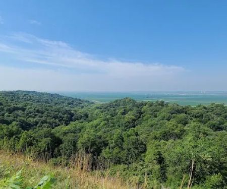 Waubonsie St Park Campground