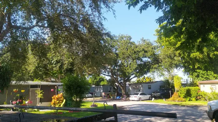 Palm Haven & East Pine Ridge Picture 1