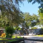 Palm Haven & East Pine Ridge