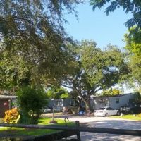 Palm Haven & East Pine Ridge ico