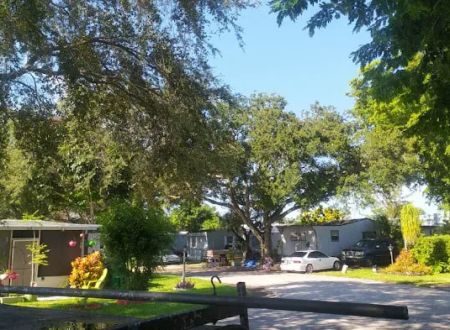 Palm Haven & East Pine Ridge