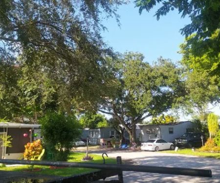 Palm Haven & East Pine Ridge