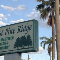 East Pine Ridge ico