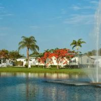 Paradise Village ico