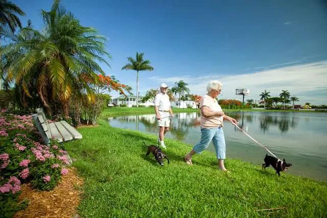 Paradise Village Picture 7