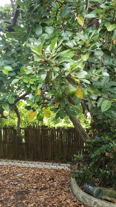 New England Mobile Park Picture 9