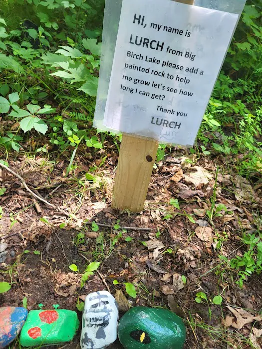Birch Lake Campground and Day-Use Area Picture 6