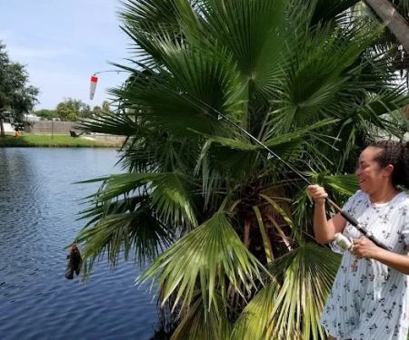 Bamboo 55+ Manufactured Home Community
