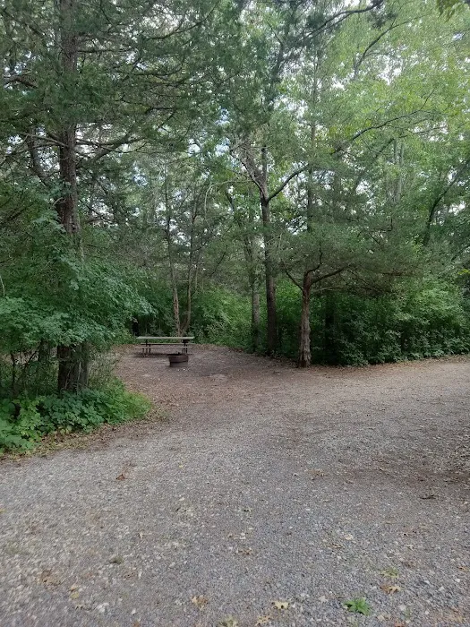 Oak Ridge Campground Picture 6