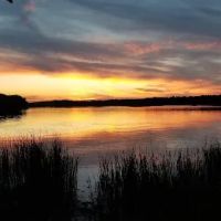 College of Wilderness Knowledge-Birch Bend Camp ico