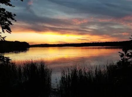 College of Wilderness Knowledge-Birch Bend Camp