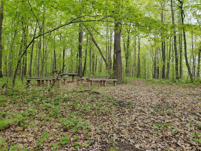 College of Wilderness Knowledge-Birch Bend Camp Picture 4