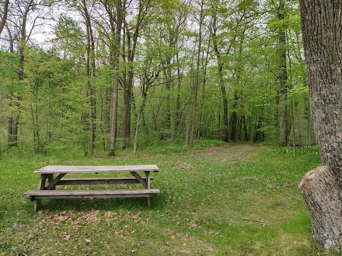 College of Wilderness Knowledge-Birch Bend Camp Picture 3